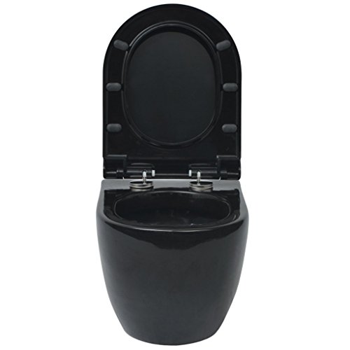 Schwarze Toilette |  WC schwarz | Absenkautomatik WC |  Toilette mit Absenkautomatik